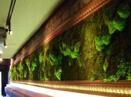 The Living Moss Wall